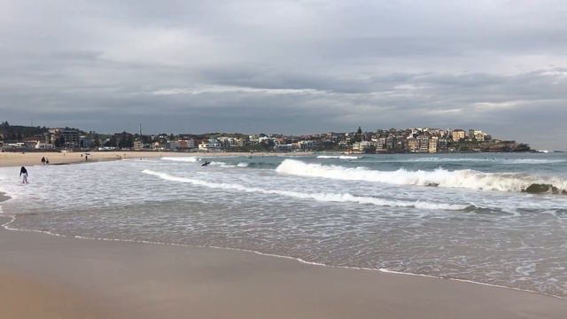 10 Best Things To Do In Sydney AU