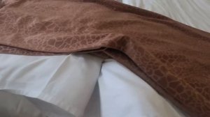 Гостиница Измайлово Гамма . Номер Стандарт Плюс.