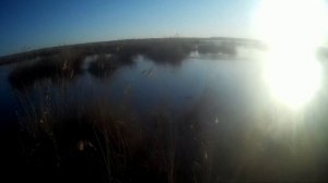 #Весна 2023 #Охота на селезня