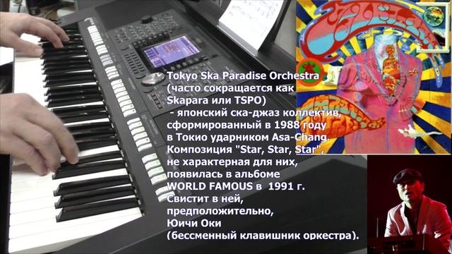 "Star Star Star"(TSPO) Демо Yamaha PSR 950  02.11.2021