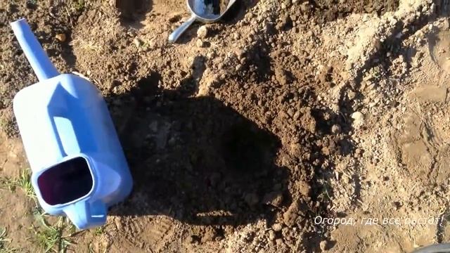 195. Посадка арбузов с некоторыми новинками. смотреть онлайн