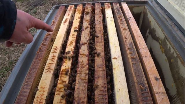 ГИБНУТ СЕМЬИ В КОНЦЕ ЗИМОВКИ !!! ПОЧЕМУ ??? смотреть онлайн