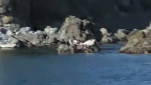 Хасан Приморского края Хасанского района. Родное Приморье во всей красе. Юг и Тихий океан 90-е года