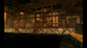 Skyrim  Прикол 21
