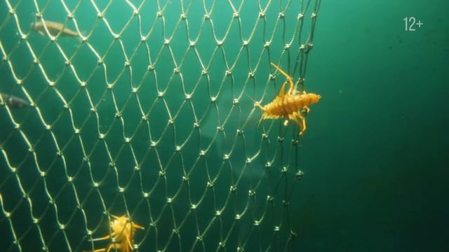 Байкал - БАМ: опасный лёд Байкала смотреть онлайн