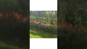 ксм хестай намиёи я бфучиш шармандагии духтари точик ракосаи кайфи ходиса тв парвиз тв 2023
