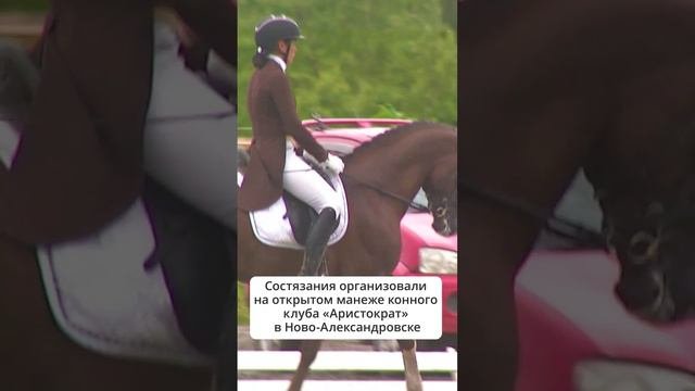 Сахалинские всадницы участвуют в соревнованиях по выездке #сахалин #лошади #выездка
