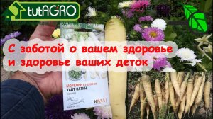 БЕЛАЯ МОРКОВЬ - ПОДАРОК ДЛЯ ВАШЕЙ ПЕЧЕНИ! Кому противопоказана оранжевая морковь? Морковь Уайт сатин