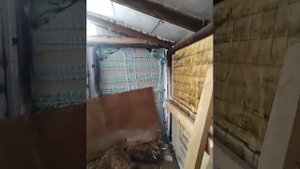 Обзор коровника на 20 голов