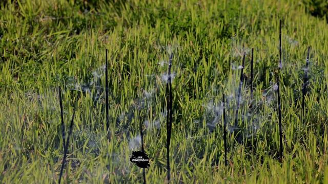 LINDA CANÇÃO HO'OPONOPONO PARA MEDITAR, MÚSICA ZEN, MUSICA DE CURA, MÚSICA DE PAZ,AMOR, PROSPERIDAD смотреть онлайн
