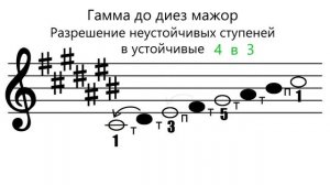 Гамма ДО ДИЕЗ МАЖОР - вводные звуки - устойчивые и неустойчивые ступени