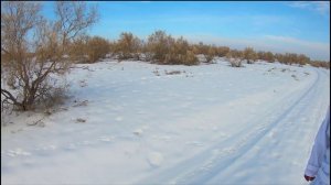 ОХОТА НА ЗАЙЦА-ТОЛАЯ