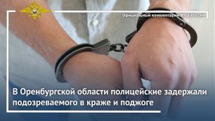 Ирина Волк: В Оренбургской области полицейские задержали подозреваемого в краже и поджоге