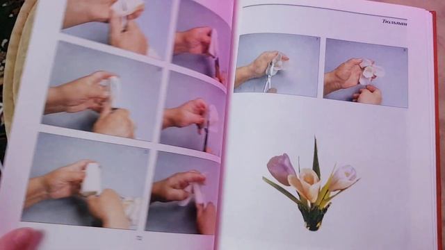 Овощи не только салаты, это политра красок для творческих людей. смотреть онлайн