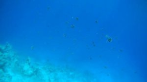 Мальдивы Biyadhoo Island Resort_2022 (5)