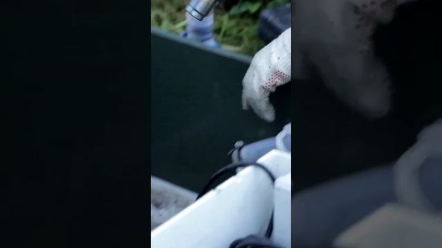 Как правильно обслуживать септик.  #septic78 #канализация смотреть онлайн