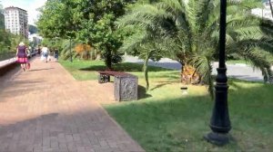 Сочи Мамайка  Тренька на улице