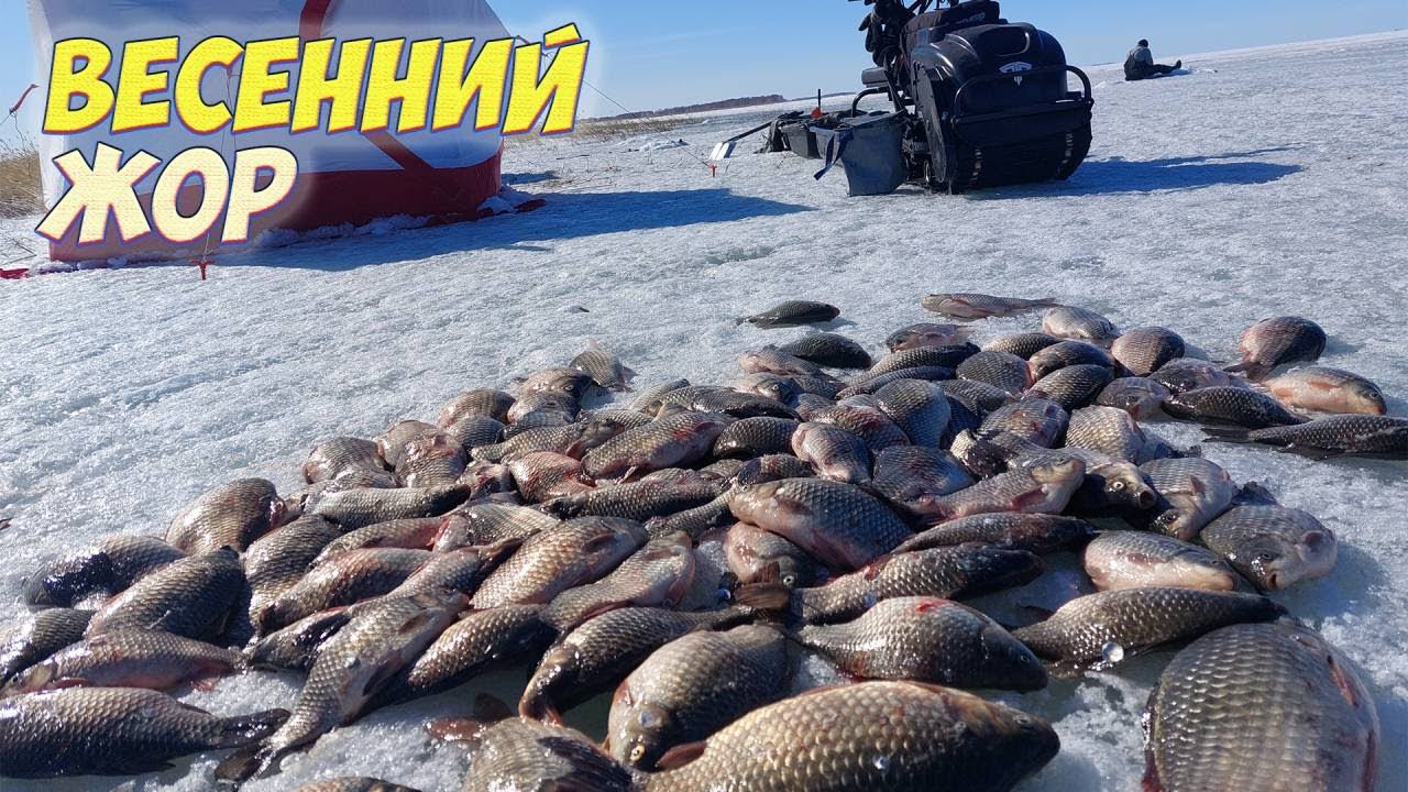 ЩЕДРЫЙ ВЕСЕННЫЙ ЛЁД!!! КУЧА РЫБЫ! АКТИВНЫЙ ВЕСЕННЫЙ КЛЕВ КАРАСЯ РЫБАЛКА С НОЧЕВКОЙ смотреть онлайн