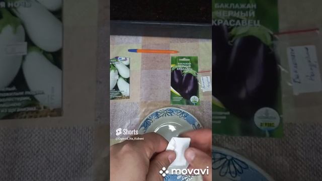 ОБЗОР СЕМЯН БОКЛАЖАН КОРОЛЬ РЫНКА. ОГОРОД НА КУБАНИ. shorts# смотреть онлайн