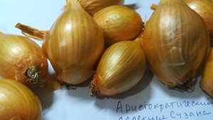 Лук шалот аристократический видео 17