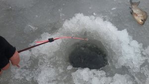 ЛОВЛЯ КАРАСЯ ЗИМОЙ на УДОЧКУ. Зимняя рыбалка на карася