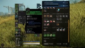 Обзор PvP \ PVE билда на мага огня ● New World гайды