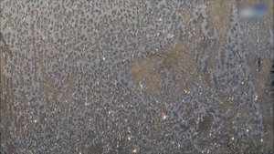 Жизнь в одиночестве Как человек живет на Байкале один