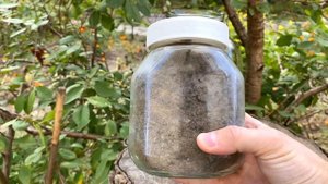 СДЕЛАЛ ВЕЧНЫЙ ТЕРРАРИУМ ЗА 5 МИНУТ