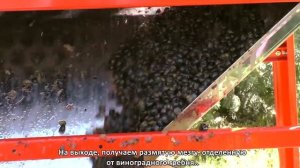 Мялка для винограда с гребнеотделителем отделяет ягоды от гребней (итальянская Rondinella)