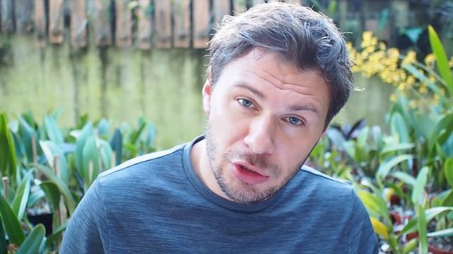 Teil 3 - Das grosse Orchideen Frage & Antwort Video смотреть онлайн