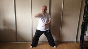 Базовая техника тайцзи. Шар Тайцзи, часть 1.