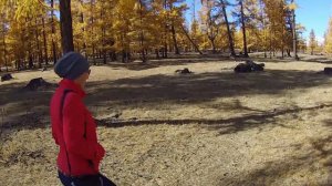 Монголия, Хубсугул. Впервые увидели Горы