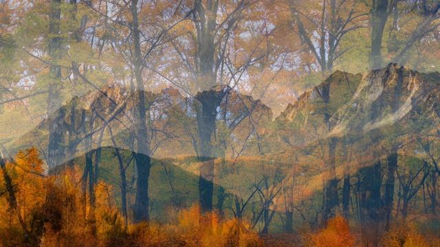 Золотая осень: магия природы смотреть онлайн