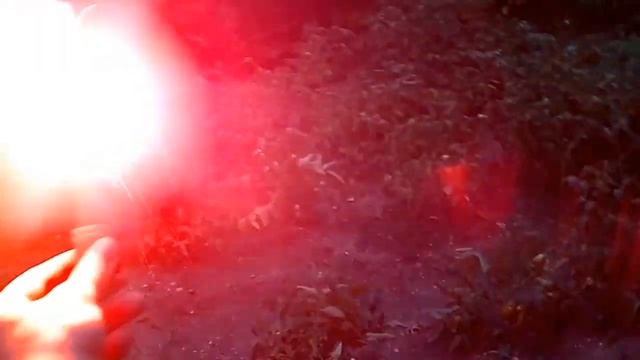 Сигнальная шашка со Skyline R34 смотреть онлайн