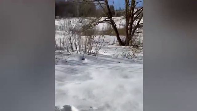 Очаровательная девочка смотреть онлайн