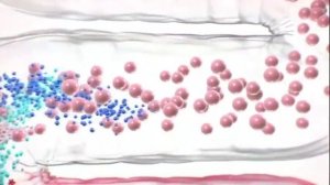 Бактистатин