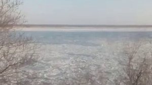 VID 20201111 150855.mp4