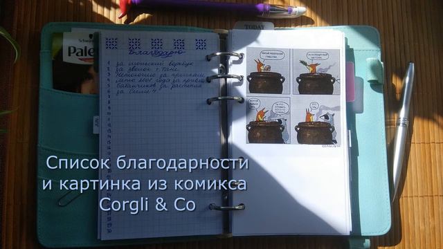 Bullet journal | развороты на ИЮНЬ 2020 в ежедневнике формата Personal смотреть онлайн