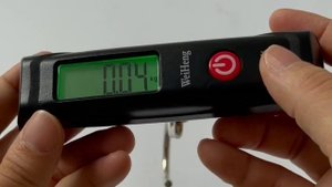 WH-A12 Personal Small Travel Weight Scale With Big Hook 50 kg