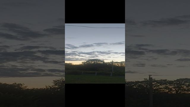 1000007411.mp4