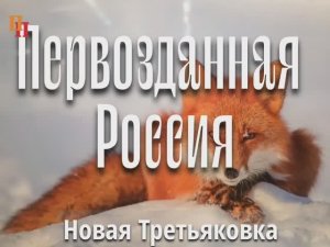 Фестиваль фотографий природы “Первозданная Россия”, Новая Третьяковка, Москва