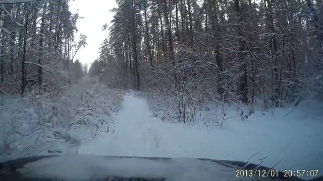 Снег в лесу и собаки смотреть онлайн