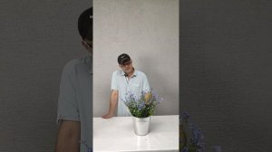 Незабудка. Полезные советы о цветах