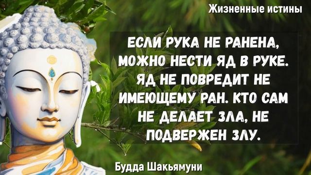 Будда Шакьямуни! Неимоверно Мудрые цитаты, которые изменят твою Жизнь! смотреть онлайн