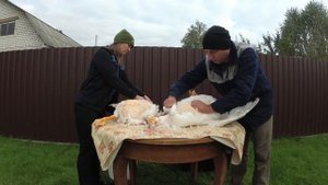 Парогенератор VS Кипяток//Ощипывание гусей