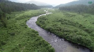 Нетронутый уголок природы