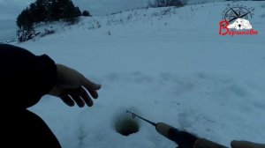 Щука на балансир в глухозимье 2019!