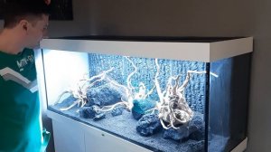 Коряги, лава для аквариума. Оформление травника. Запуск растительного аквариума Juwel 450 л. Часть