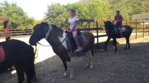 Поездка на лошади! ? ✨/Конный клуб "Абрау Дюрсо"/✨