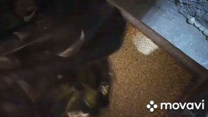 рецепт комбикорма для бройлеров,  комбикорм своими руками #комбикорм .